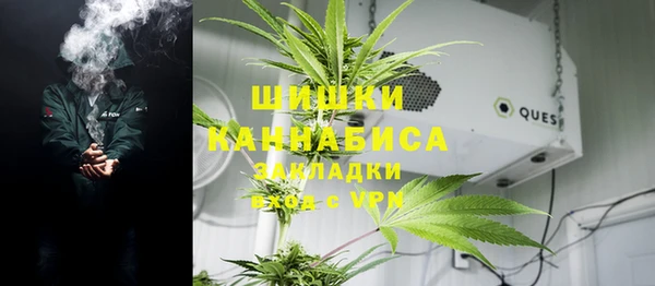 PSILOCYBIN Алзамай
