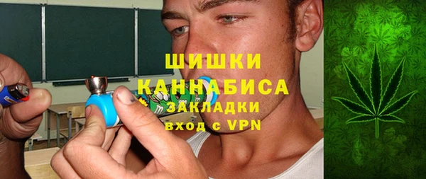 бошки Алексин